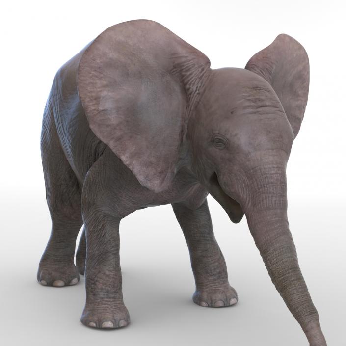 3D model Baby Elephant Pose 3