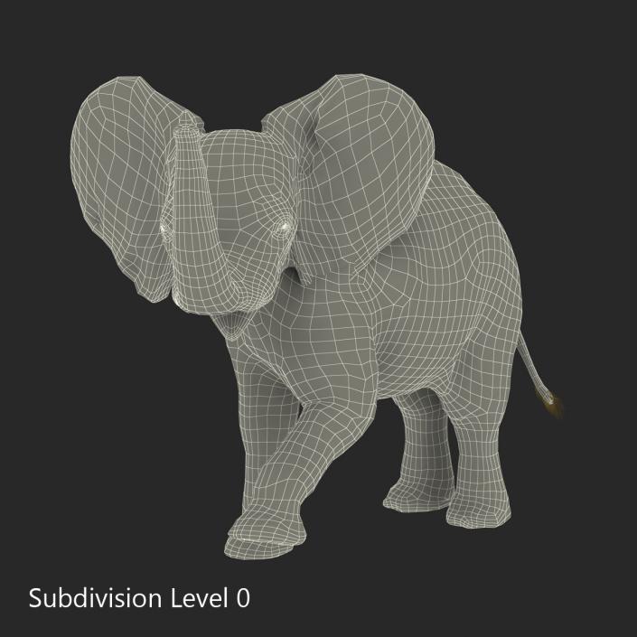 Baby Elephant Rigged with Fur 3D model