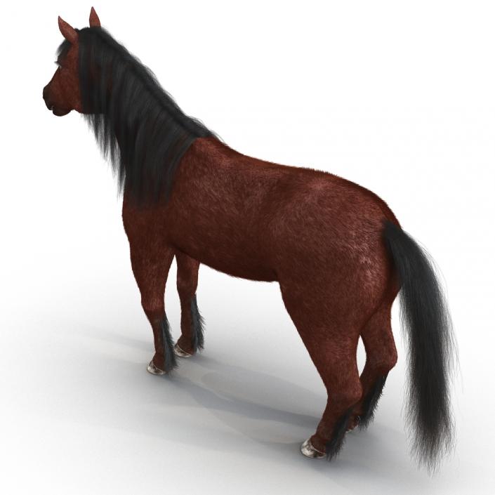 3D Horse with Fur 2