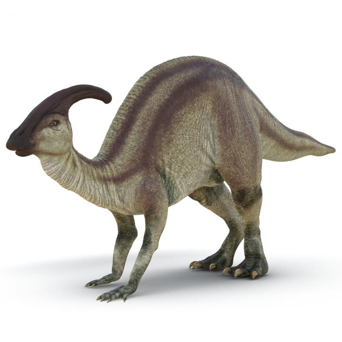 Parasaurolophus Pose 3 3D