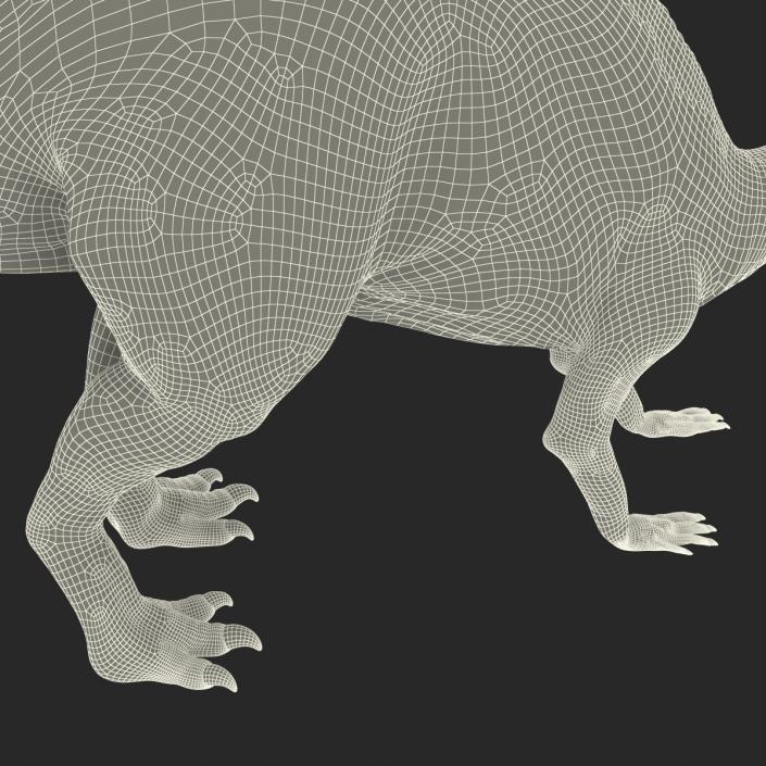 Parasaurolophus Pose 3 3D