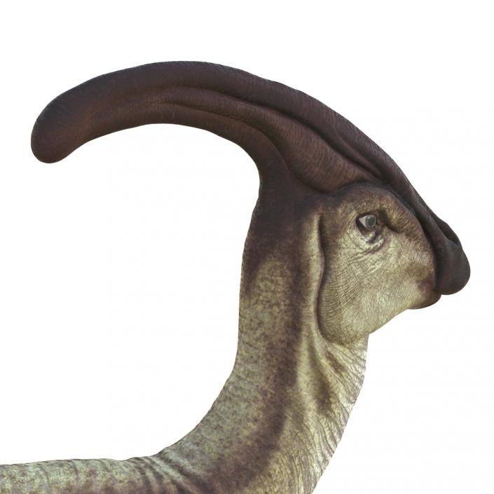 Parasaurolophus Pose 4 3D