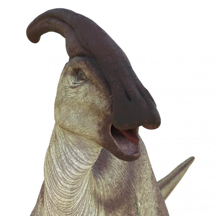 Parasaurolophus Pose 2 3D