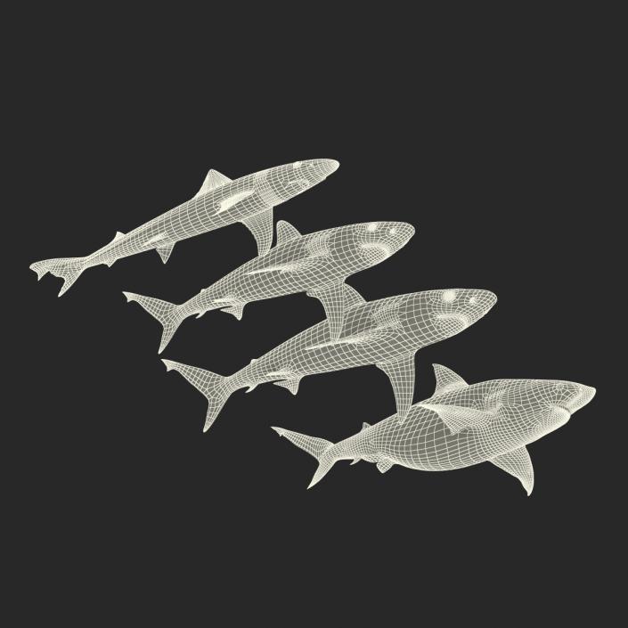 Sharks Collection 4 3D model