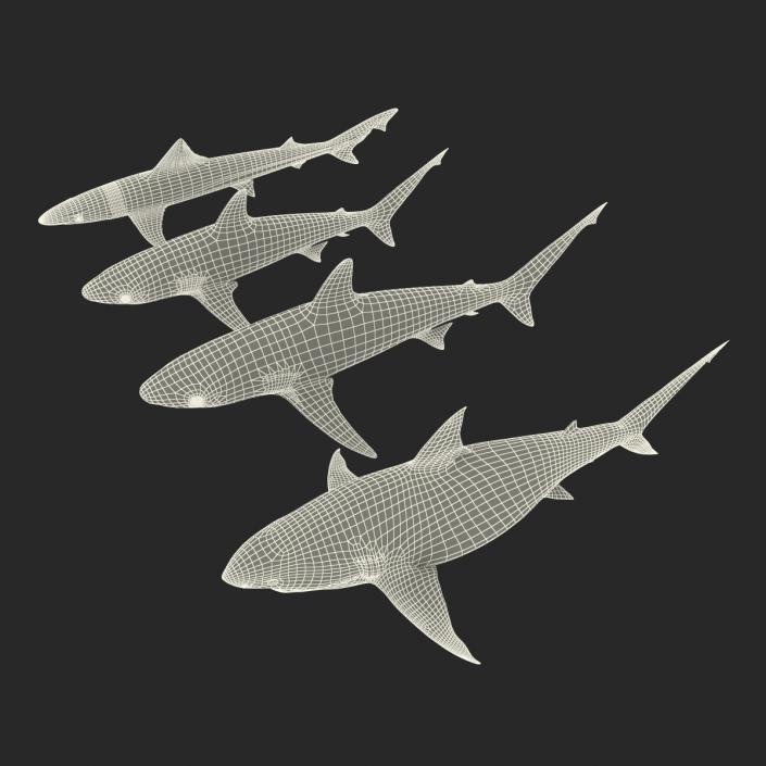 Sharks Collection 4 3D model