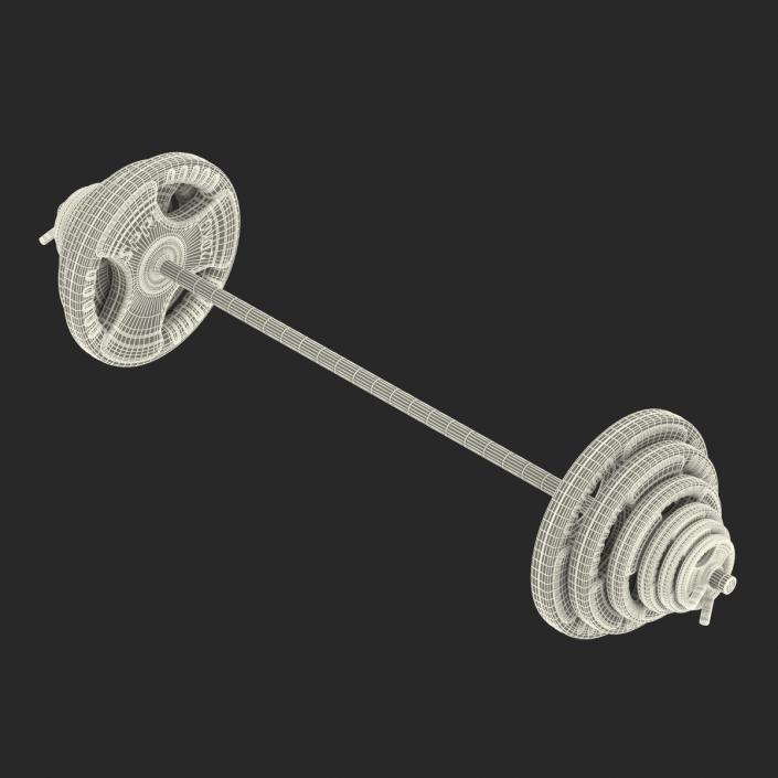 3D model Barbell and Plates 2