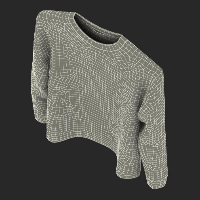 Sweater 2 3D model