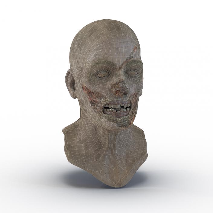 3D Zombie Head