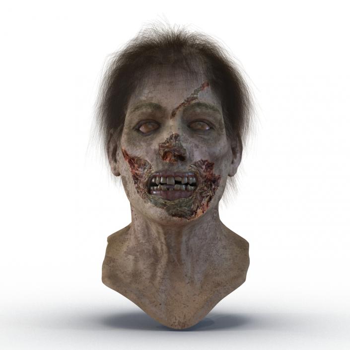 Zombie Head 3D Model with Hair Rigged 3D