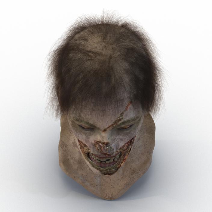 Zombie Head 3D Model with Hair Rigged 3D