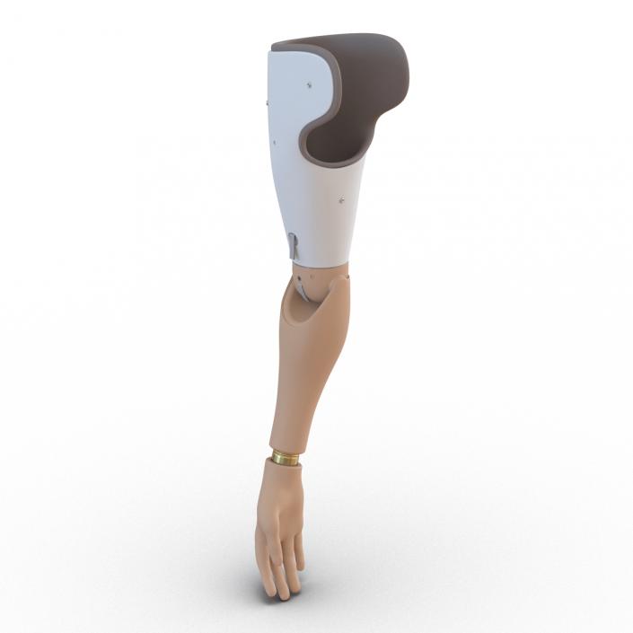 Prosthetic Arm 3D model