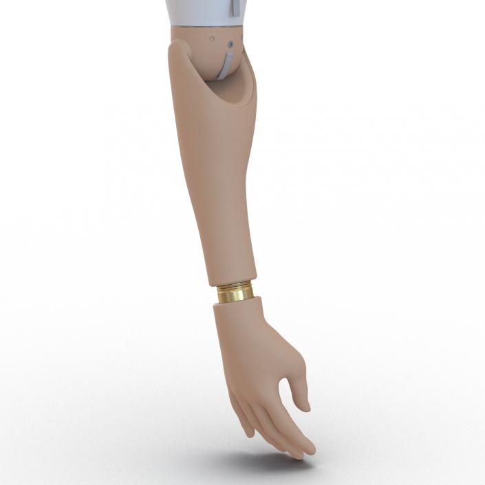 Prosthetic Arm 3D model