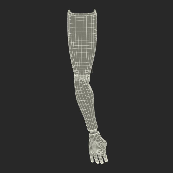 3D Prosthetic Arm Rigged