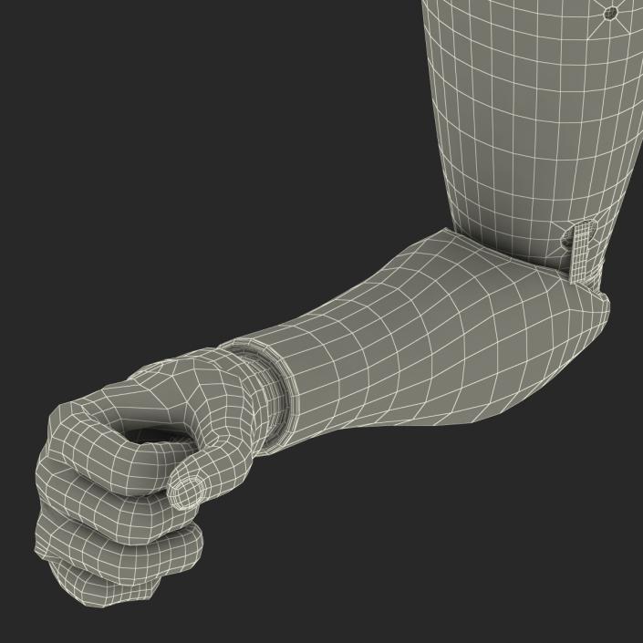 3D Prosthetic Arm Rigged