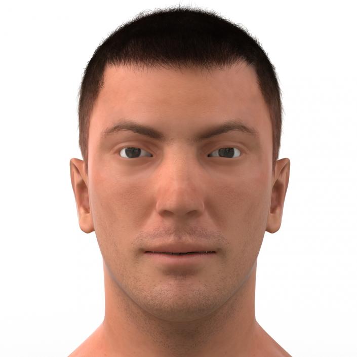 3D Male Head with Hair Rigged