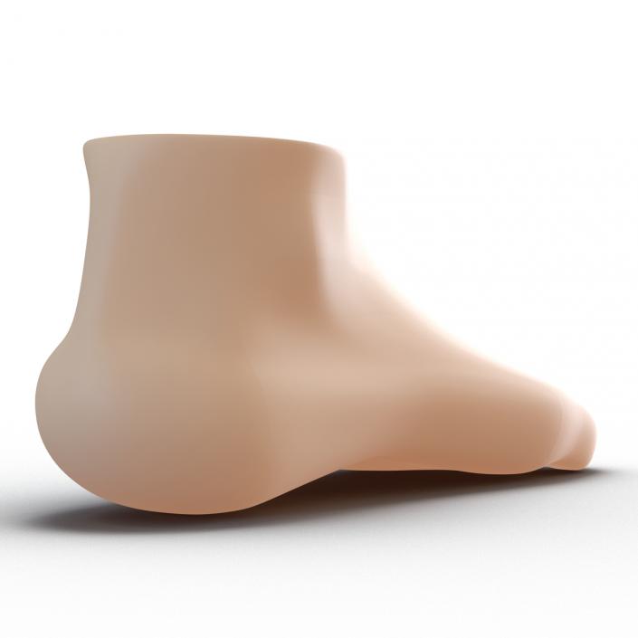 Plastic Foot 3D