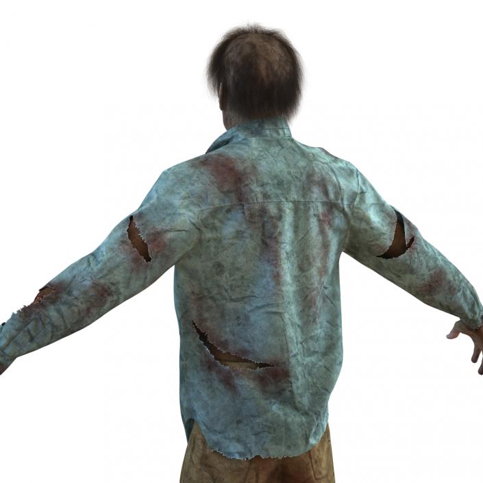Zombie Rigged 3D Model with Hair 3D