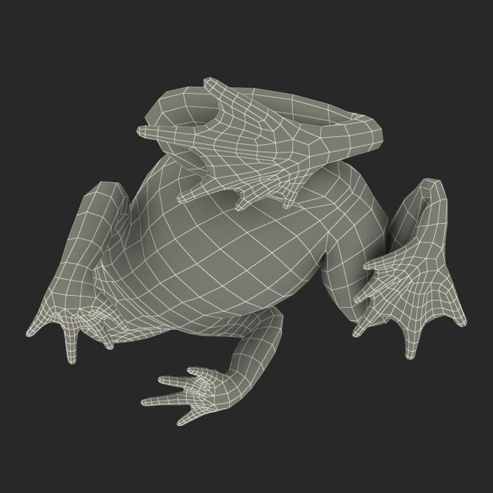 Fire Bellied Toad Frog Pose 2 3D model
