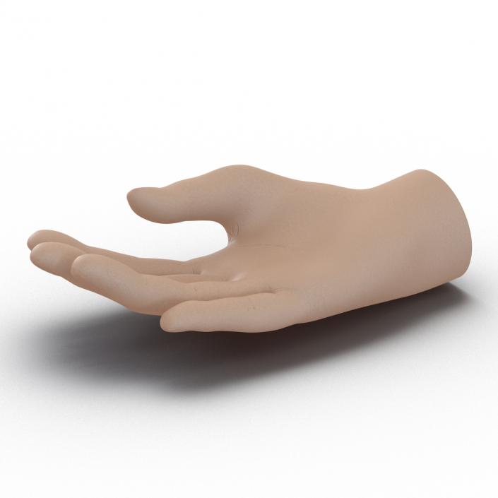 Plastic Hand 3D