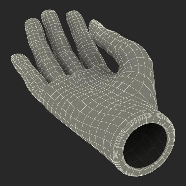 Plastic Hand 3D
