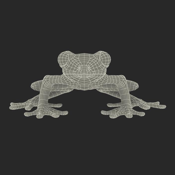 Tree Frog 3D model