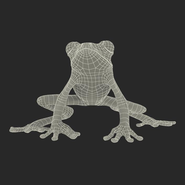 3D Tree Frog Pose 3