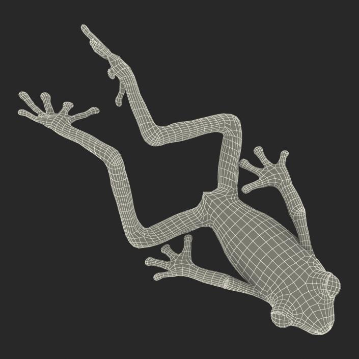3D Tree Frog Pose 4