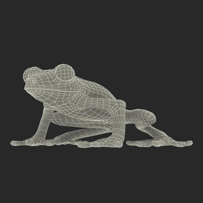 3D Tree Frog Rigged