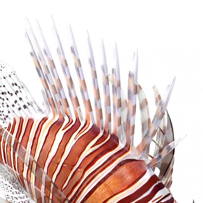 3D model Lionfish Rigged