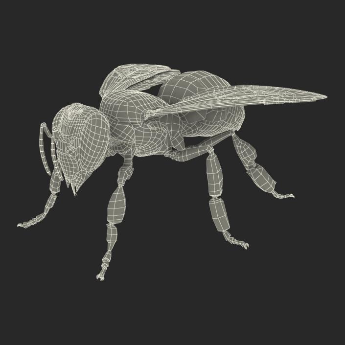 Bee 3D model