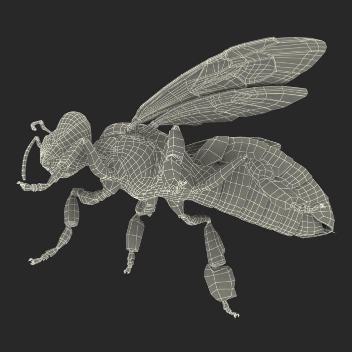 3D model Bee Pose 4