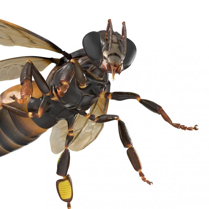 3D Honey Bee Pose 2