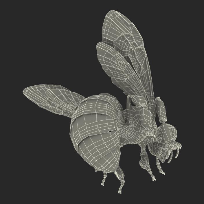 3D Honey Bee Pose 3