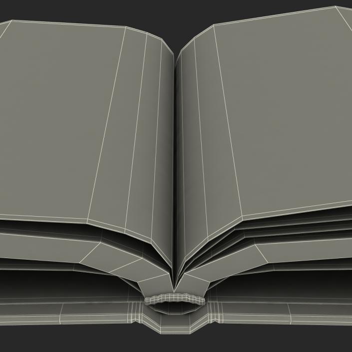 Open Book 3D model