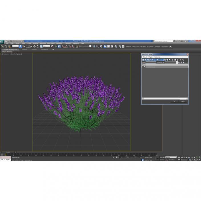 3D Lavender Bush model