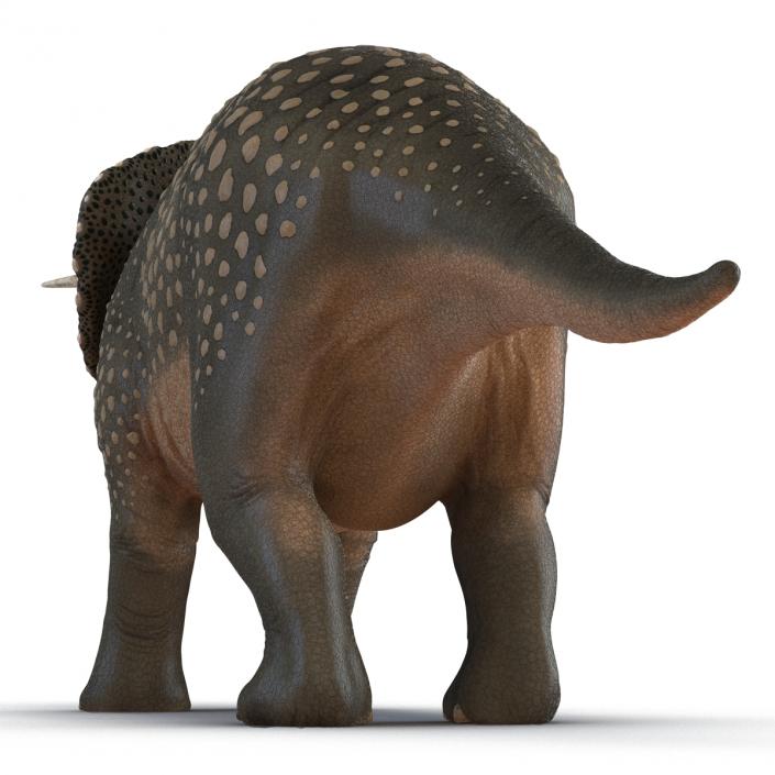 3D Triceratops