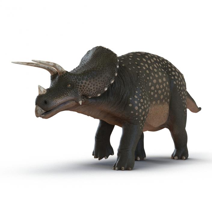 3D Triceratops Pose 3 model