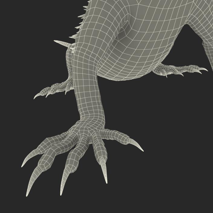 3D Bearded Dragon Pose 2