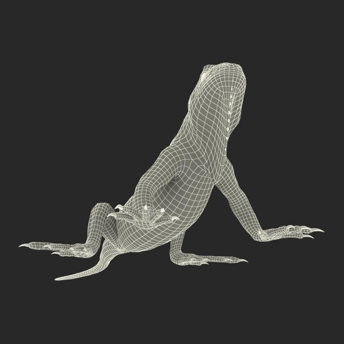Green Iguana Pose 2 3D model