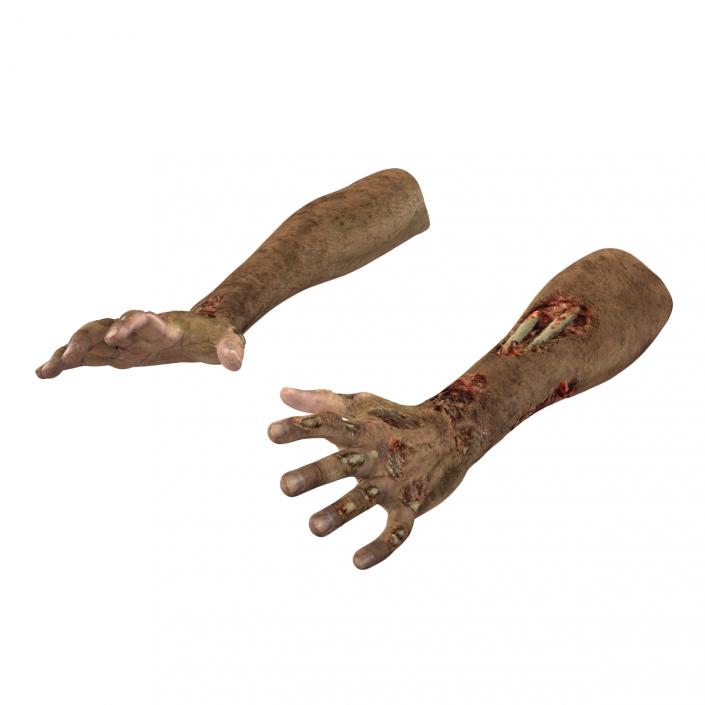 Zombie Hands Rigged 3D model