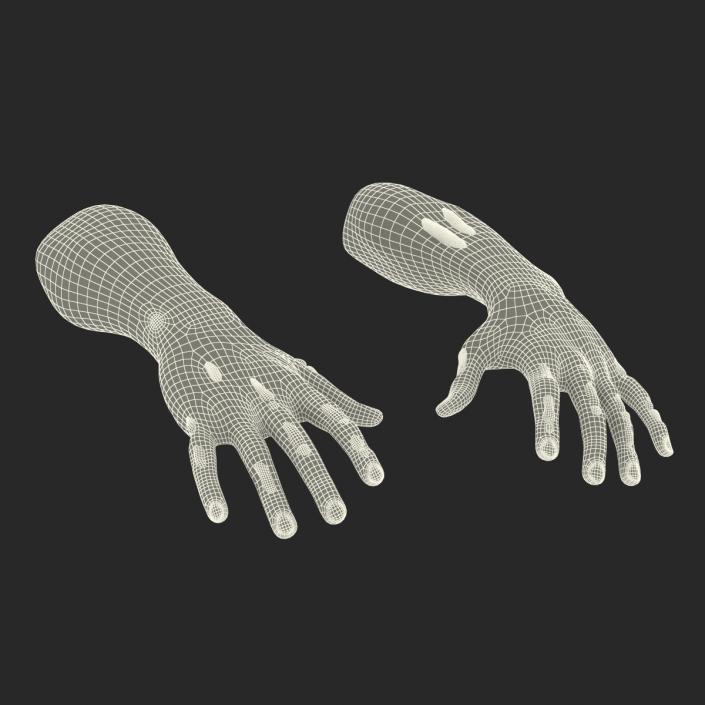 Zombie Hands Rigged 3D model