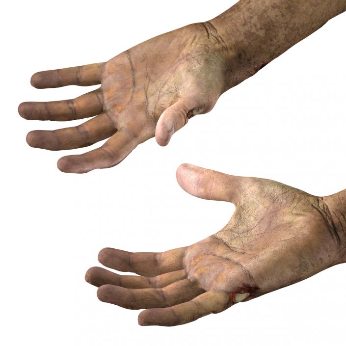 Zombie Hands 3D