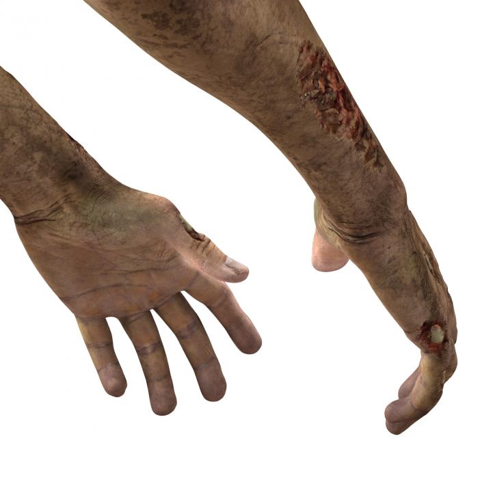 Zombie Hands Pose 2 3D model