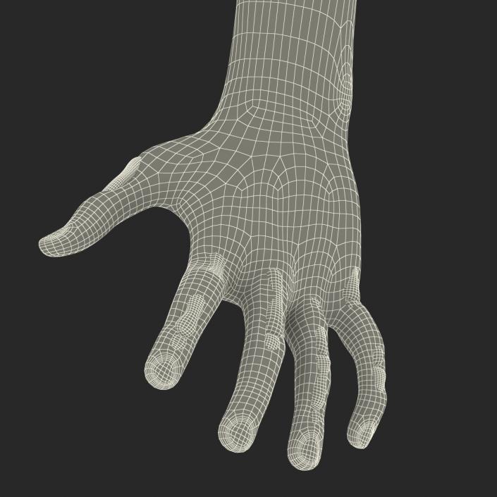 Zombie Hands Pose 3 3D model