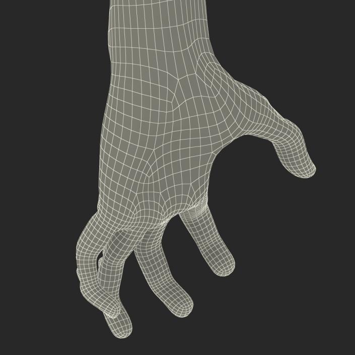 Zombie Hands Pose 5 3D model