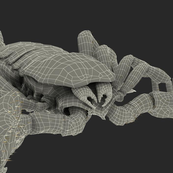 3D model Black Scorpion Rigged with Fur