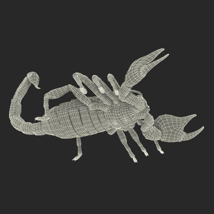 3D Black Scorpion Rigged