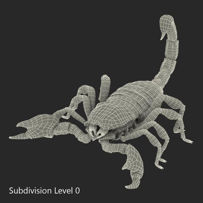 3D model Scorpion Rigged