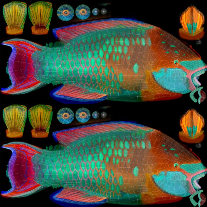 Rainbow Parrot Fish 3D model