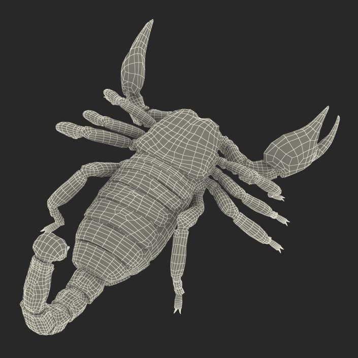 3D Black Scorpion with Fur model